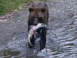 Alaska ---Photos by Jimmy Parrish