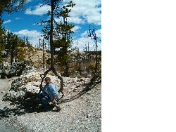 Western United States, 