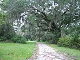 Charleston, SC ---August, 2008 ---Photos by Wanda McMullin