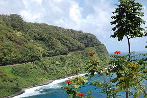 Hawaii ---August, 2008 ---Photos by Bill & Roisin Leyva