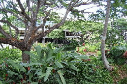 Hawaii, August, 2008