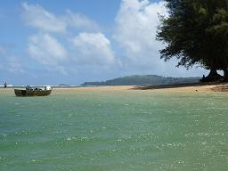 Hawaii ---Photos by Doug McMullin (Winnipeg, Canada)