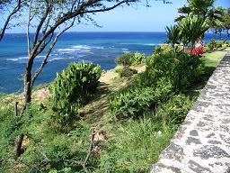 Hawaii ---Photos by Linda and Jim Mueller