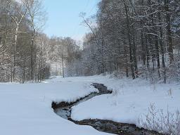 Snow in Nashville and Middle TN ---March 8, 2008