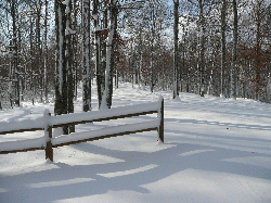 Jimmy Parrish's Snow Pictures