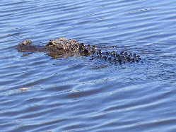Key West, April, 2009