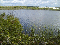 Perdido Key, May 2009