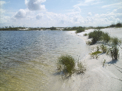 Perdido Key, May 2009