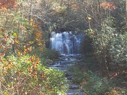 Great Smokey Mountains, TN ---November, 2009 ---Photos by Wanda McMullin