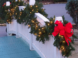 Nashville TrinityCity