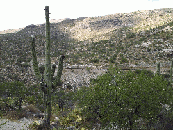 Tucson, Arizona, July 2010