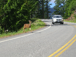 Washington State, July 2010