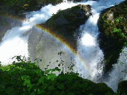 Washington State, July 2010